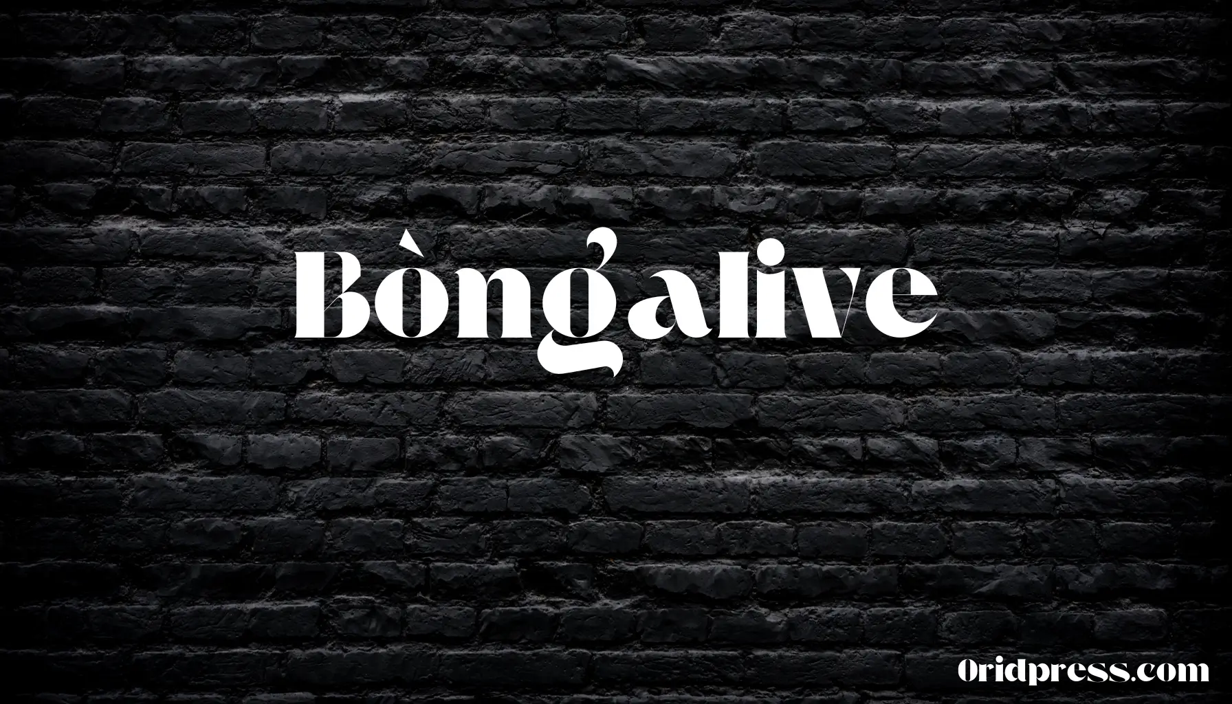 Bòngalive