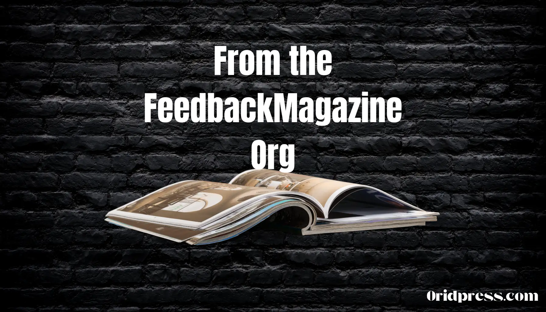 from the feedbackmagazineOrg