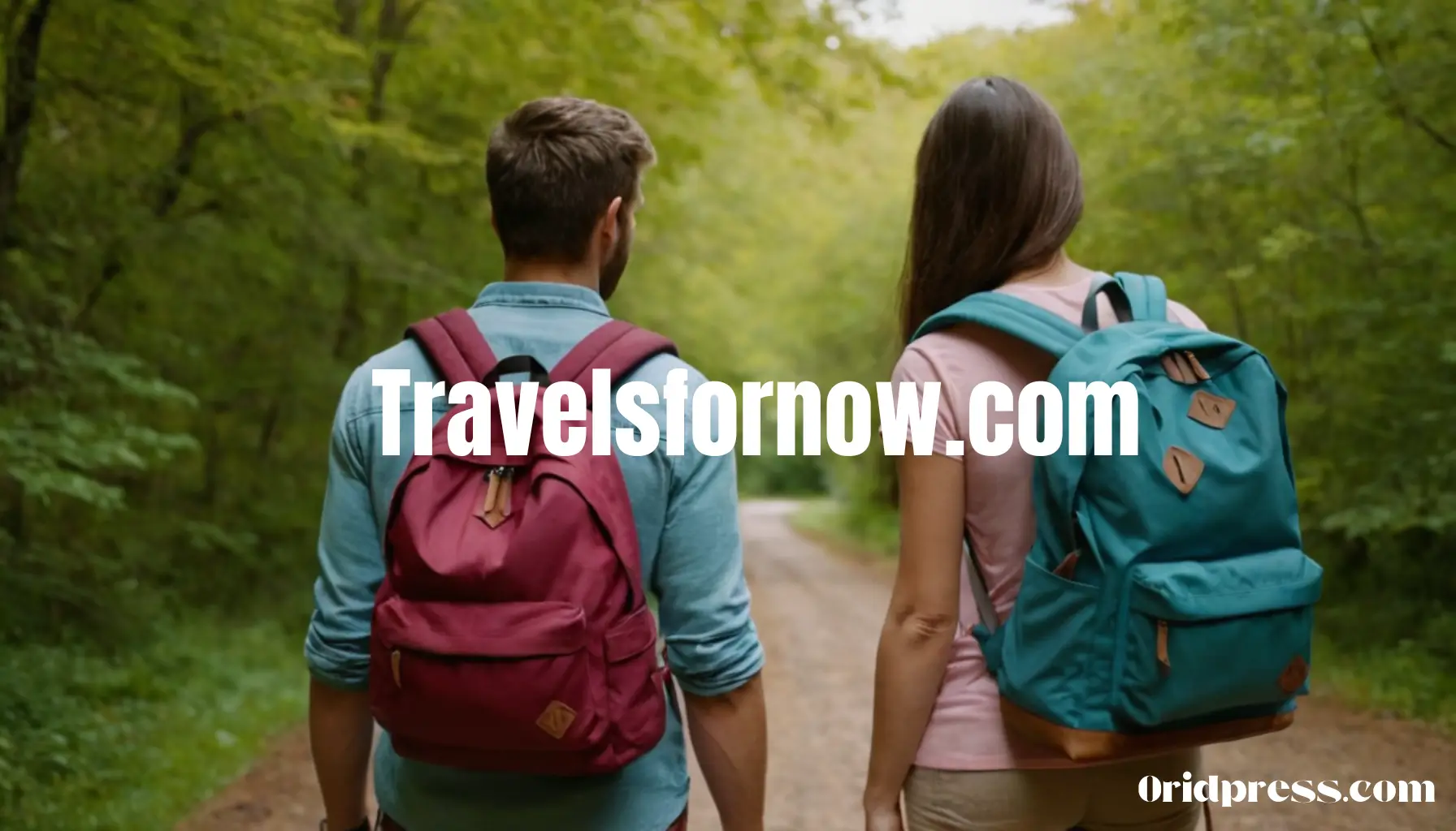 travelsfornow.com