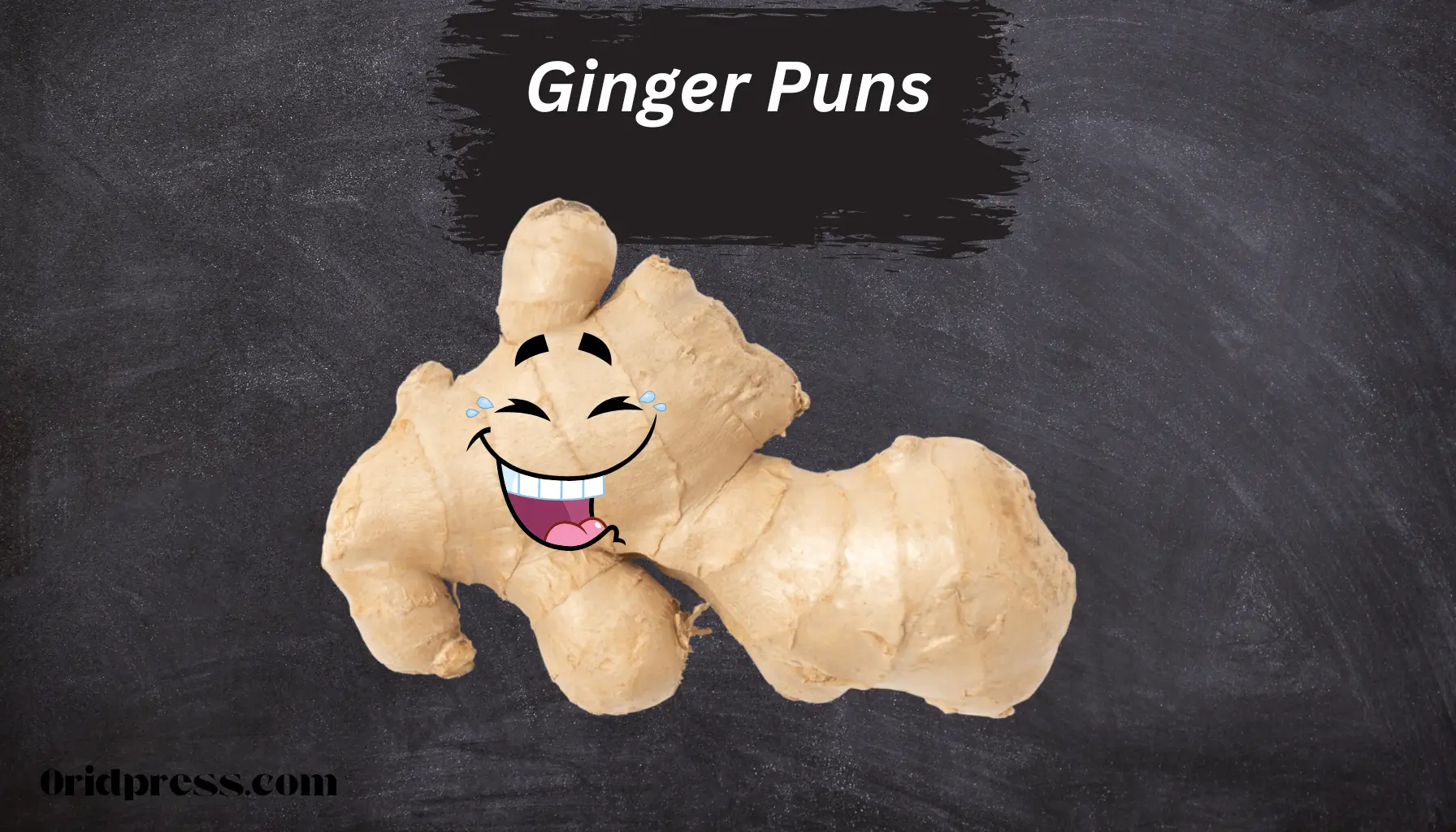 ginger puns